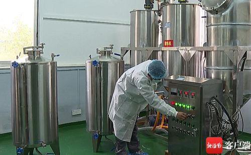 五指山油茶加工廠升級設備，榨出“致富油”助推鄉村振興